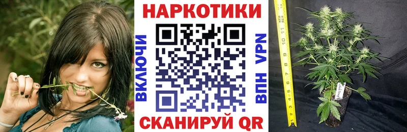 A-PVP Усть-Илимск