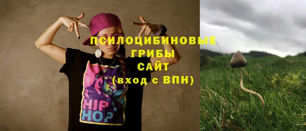 бошки Алексин